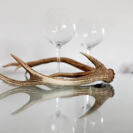 Sonnenterrasse Im Schwarzwald