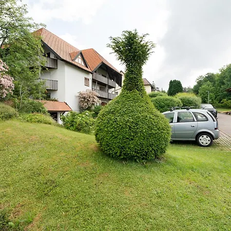Sonnenterrasse Im Schwarzwald Διαμέρισμα Φρόιντενσταντ